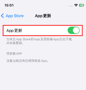 海门苹果15维修中心如何让iPhone15APP自动更新